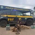 PRF apreende quase 47 kg de drogas e rebites em caminhão na BR-364 em Alto Garças
