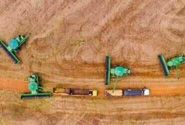 Puxada pela soja, produção de grãos em Mato Grosso deve aumentar 4,4% na safra 2024/2025, estima Conab