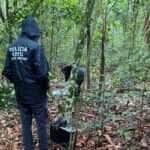 Quatro integrantes de facção são presos por sequestro, tortura e homicídio em Tapurah