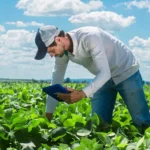 Syngenta