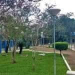 Universidade Federal de Rondonópolis