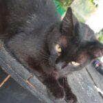 WhatsApp Image 2025 01 03 at 18.56.55 e1735992326732