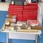 Ação conjunta apreende 50 quilos de drogas em área rural de Colíder