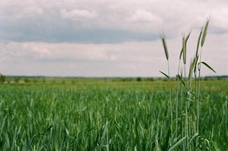 agro
