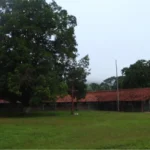 aldeia meruri