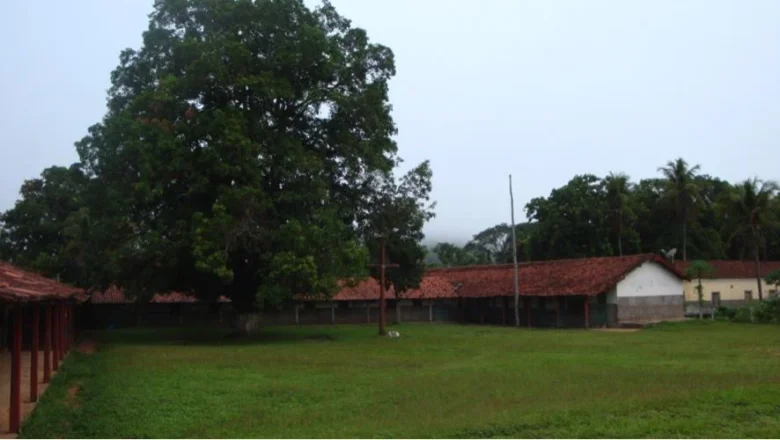 aldeia meruri