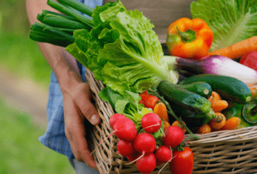 alimentos agricultura familiar