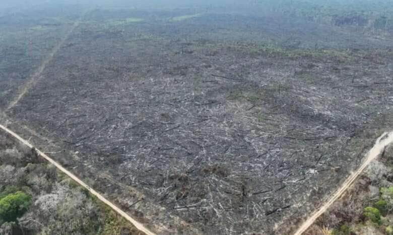 Rio Branco-Acre 01/10/2024 Polícia Federal no Acre, deflagrou operação para combater os crimes de desmatamento, impedimento de regeneração e provocação de incêndio em uma área de aproximadamente 950 hectares, situada em gleba pública federal. Fotos Polícia Federal
