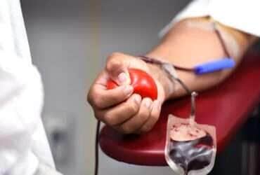 Falta de novos doadores de medula óssea preocupa em Mato Grosso