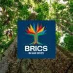 Brasília (DF) 21/12/2024 - Conheça a identidade visual do BRICS Brasil: árvore amazônica traduz objetivos do grupo.
Foto: Secretaria de Comunicação Social/Divulgação