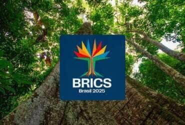 Brasília (DF) 21/12/2024 - Conheça a identidade visual do BRICS Brasil: árvore amazônica traduz objetivos do grupo.
Foto: Secretaria de Comunicação Social/Divulgação