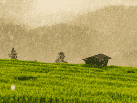 Clima e Mercado