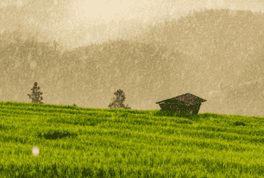 Clima e Mercado