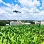 drone plantacao milho Foto Paula Drummond de Castro