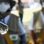Entenda porque os casos de dengue aumentam no verão. E se proteja - Divulgação/MS