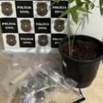 Polícia Civil-MT