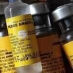 Vacina contra febre amarela