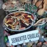 sementes
