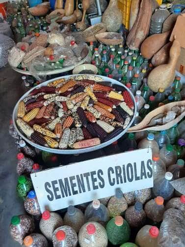 sementes