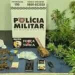 27.02 trafico sinop