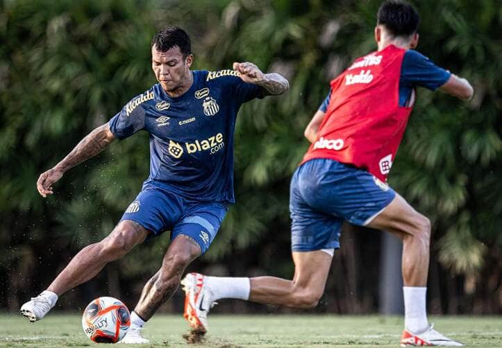 Santos x Noroeste ao vivo; onde assistir o jogo desta quarta (19) pelo Paulistão. Imagem: Raul Baretta/Santos FC