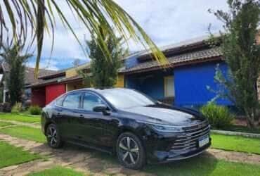 BYD King