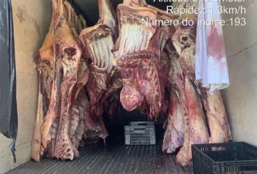 Carne apreendeida