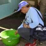 Cuiabá realiza ‘Dia D’ e intensifica combate ao Aedes aegypti no Dom Aquino