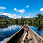 Governador veta projeto que ameaçava a Amazônia em Mato Grosso