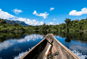 Governador veta projeto que ameaçava a Amazônia em Mato Grosso