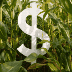 Mato Grosso impulsiona crescimento do Centro-Oeste e do Brasil em 2025, aponta estudo