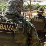 Ibama e UFMT firmam acordo para reforçar atendimento à fauna silvestre em Mato Grosso