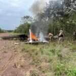 Operação conjunta com a policiais de Mato Grosso apreende 500 kg de skunk em área rural do Amazonas