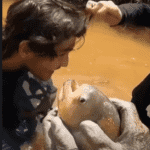 Vídeo viral mostra o poder da piranha e deixa uma lição importante