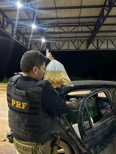 PRF apreende mais de 3 mil peixes ornamentais em Sorriso, Mato Grosso