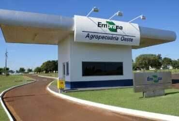 STF isenta Embrapa de pagamento de ICMS e determina restituição de valores em Mato Grosso