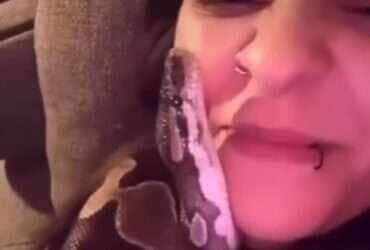 Serpente carinhosa? especialista explica o comportamento do réptil em vídeo viral