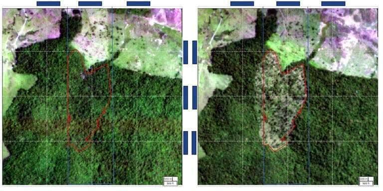 BNDES barra R$ 728 milhões de crédito rural a proprietários que desmatam -