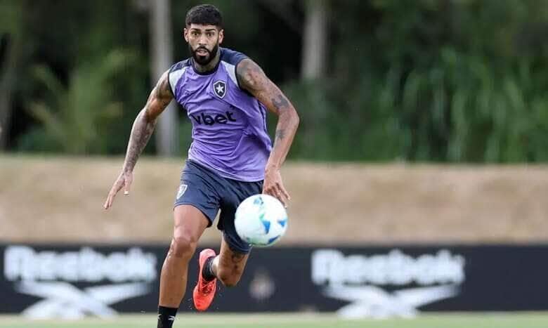 botafogo, treino