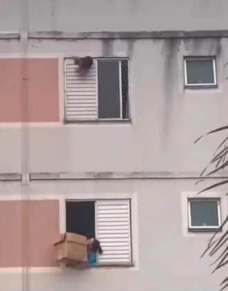 Cena dramática em guarulhos termina com um resgate preciso e um cachorrinho a salvo
