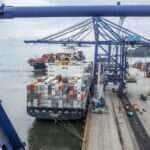 exportacao
