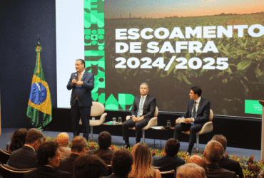 favaro escoamento safra
