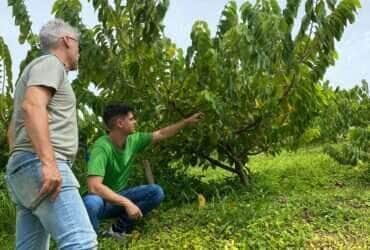 jovem no campo