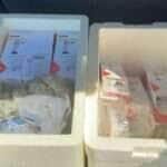 medicamento para emagrecer