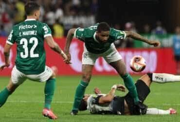 Palmeiras x Botafogo ao vivo; onde assistir a estreia dos times no Brasileirão neste domingo (30). Imagem: Cesar Greco/Ag. Palmeiras