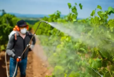 Aprovado projeto de lei que flexibiliza o uso de agrotóxicos em Mato Grosso