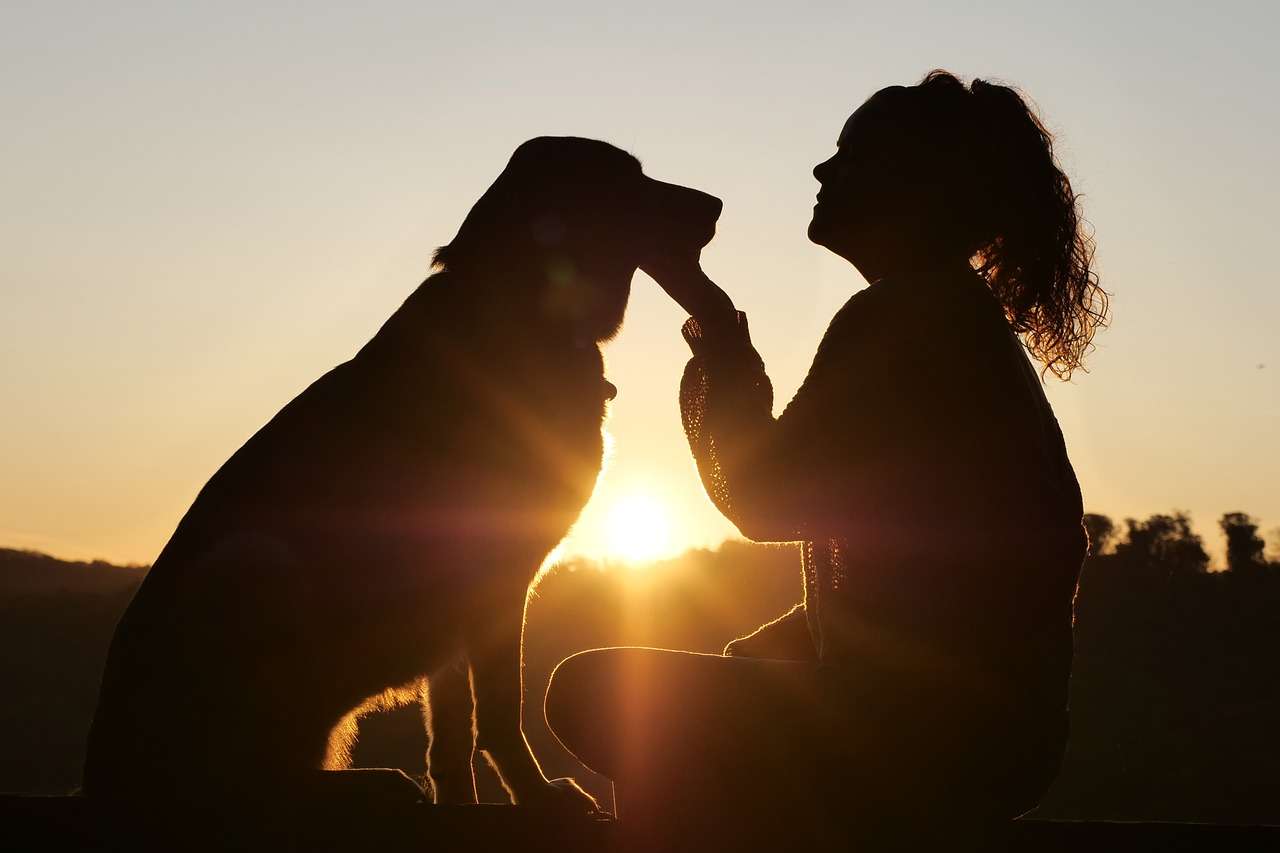 Cuidados anuais garantem a saúde dos cães e gatos