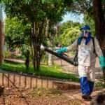 De janeiro para marco queda no numero de casos de dengue e Chikungunya foi de 93 em Rondonopolis