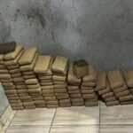 Força Tática apreende 92 tabletes de maconha e gera prejuízo de R$ 300 mil às facções criminosas em Mato Grosso