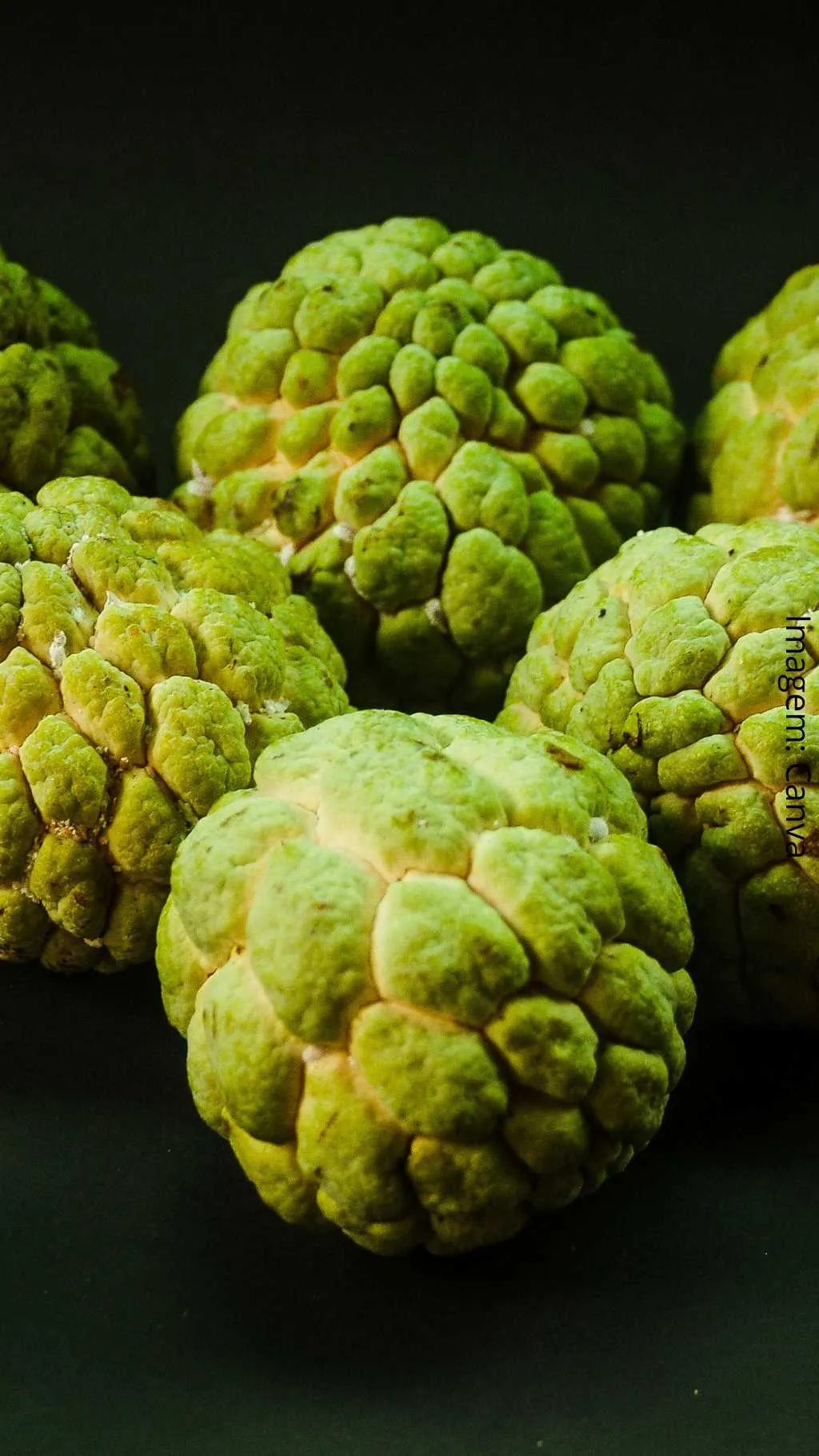 Os Benefícios do Araticum: Um superalimento da natureza 81 Fruta do conde9